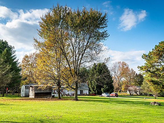 view from back of the yard