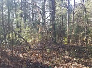 361 Old Corinth Rd, Buchanan, GA 30110