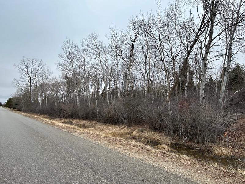 1st image of Cedar St