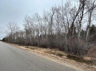 Cedar St, Bad Axe, MI 48413