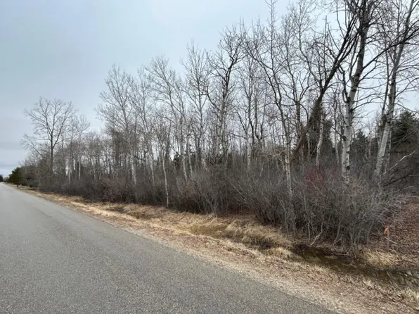 Cedar St, Bad Axe, MI 48413