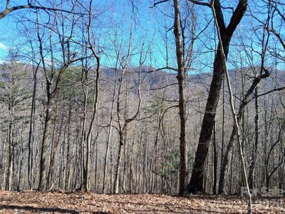 0 Piney Gate Rd #39, Saluda, NC, 28773