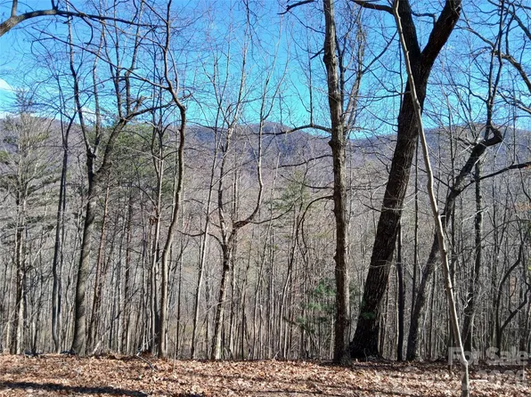0 Piney Gate Rd #39, Saluda, NC 28773