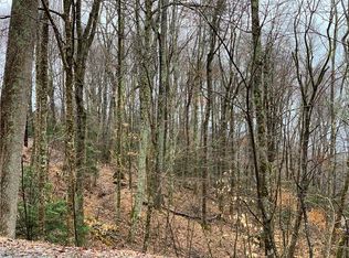 226 Greenbriar Rd #C, Banner Elk, NC 28604