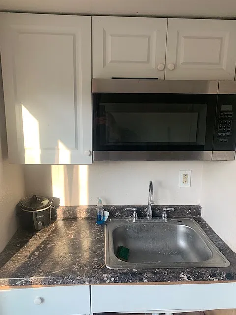 Studio, 550 sqft, $1,290 — Photo 2