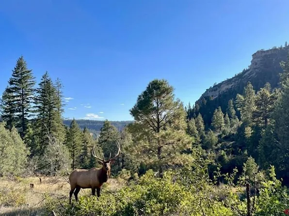 16400 County Road 500, Pagosa Springs, CO 81147