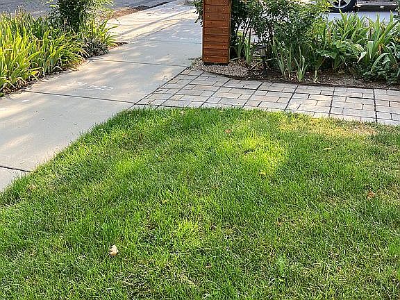 Front-yard