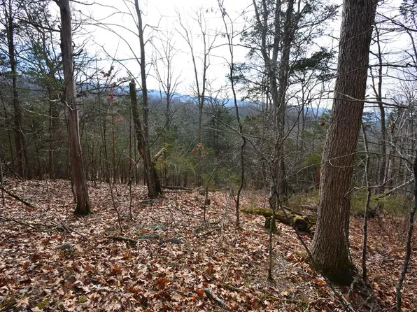 Hickory Dr, Pounding Mill, VA 24637