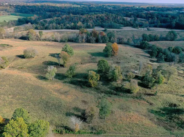 0 Highway 802, Wickliffe, KY 42087
