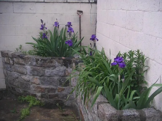 229 Federal St — Photo 3