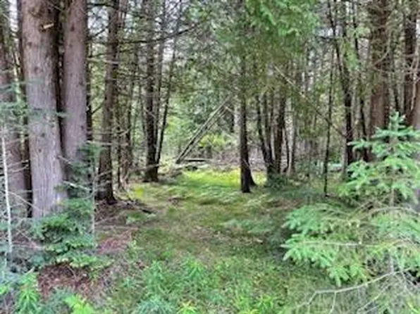 0 County Road 135, Mc Millan, MI 49853