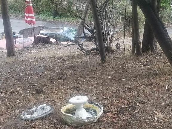 4th image of 7475 Woodrow Dr