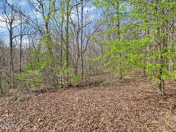 5th image of 0 Thompson Rd Lot 153