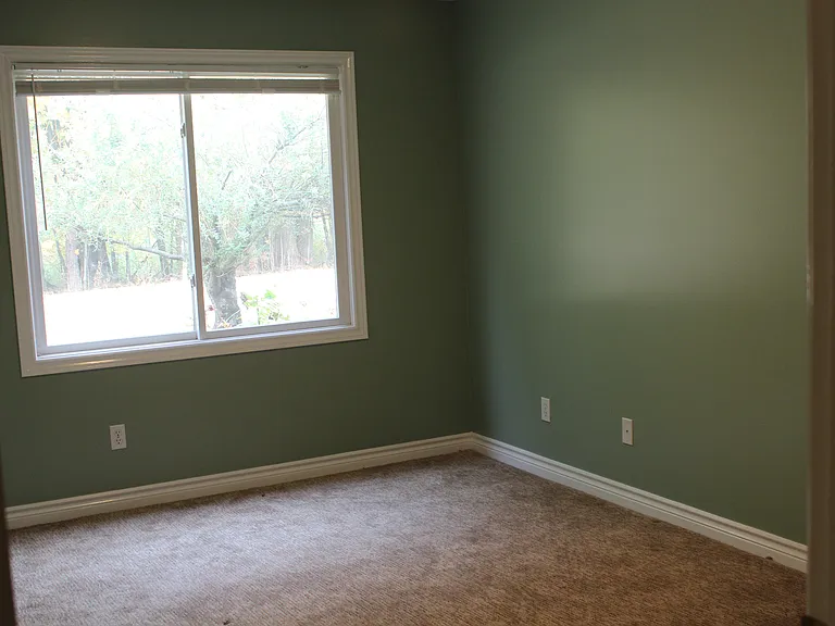 Lower Bedroom #2 with woods in view