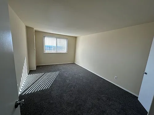 9727 Mount Pisgah Rd — Photo 197