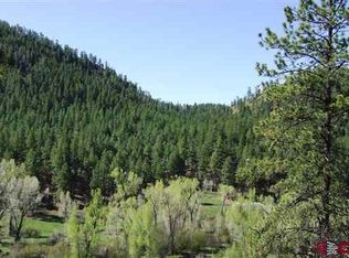1169 Bear Creek Rd, Bayfield, CO 81122