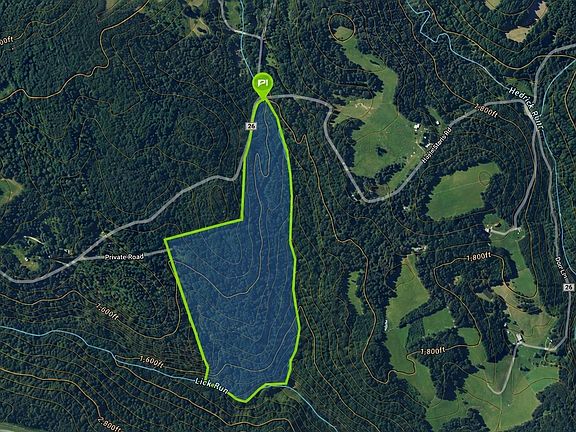 3rd image of 1028 Blanche Fullmer Rd
