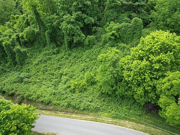 5th image of Euclid Ave
