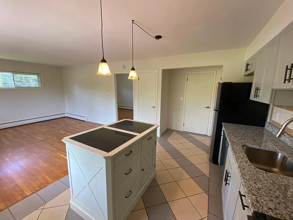 View from kitchen into living space & Bedrm. Kitchen island has granite top and storage. All new kitchen including cabinets and all appliances!