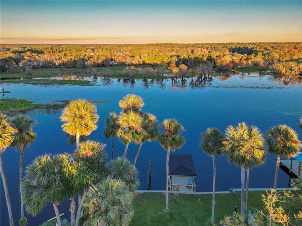 1043 Lemon Bluff Rd, Osteen, FL 32764