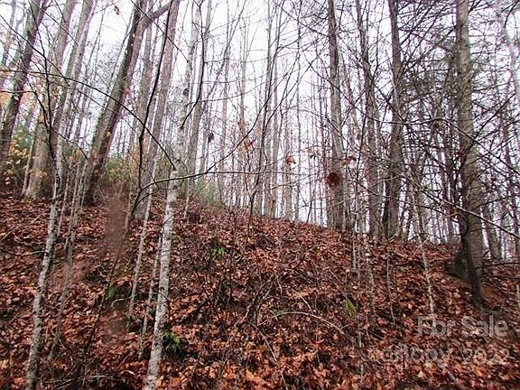 3rd image of Pack Saddle Dr