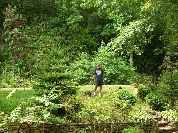 Side Yard as seen from lower parking