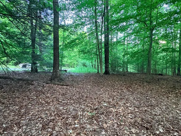0 Ledgeview Dr, Fayetteville, WV 25840