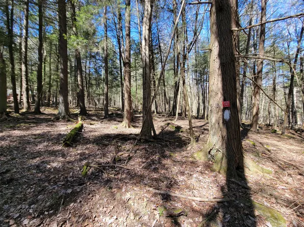 1 Bugling Bull Ln, Benezett, PA 15821