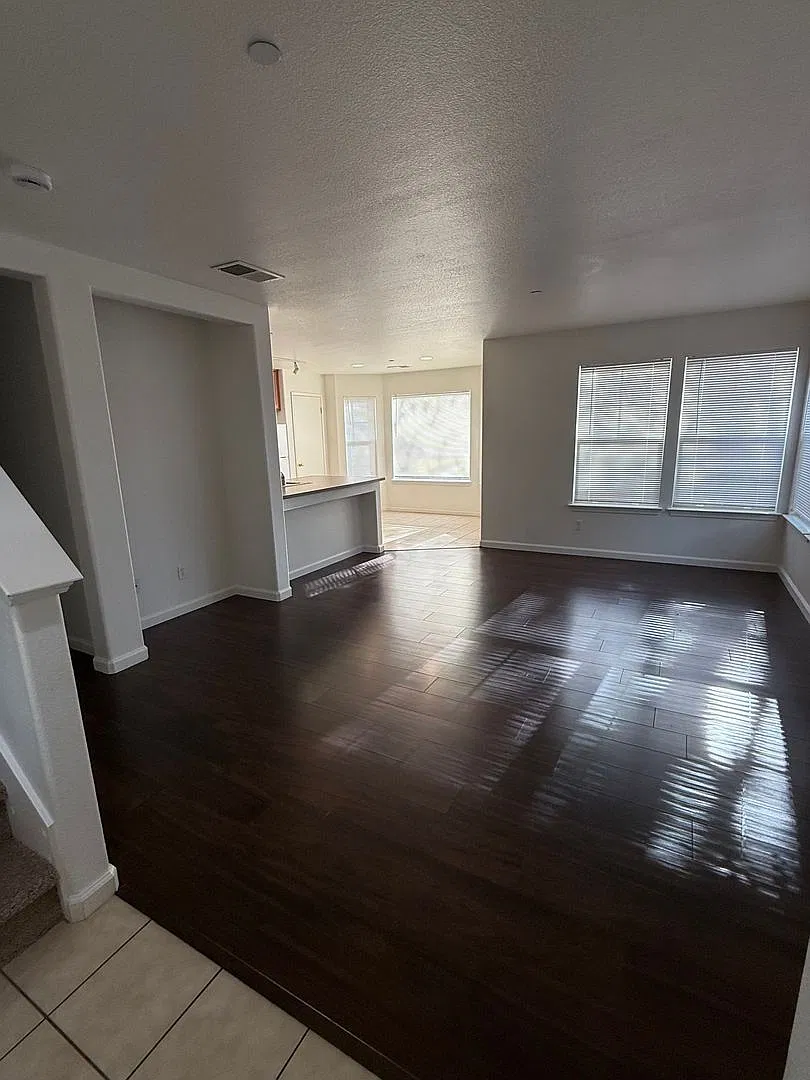 Levi — Photo 3