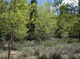 1737 County Road 12, Alma, CO 80420