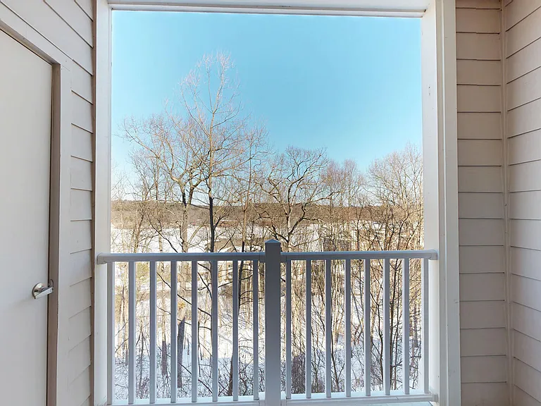 Lodge at Ames Pond — Photo 67