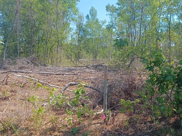 Tract 1 Luck Rd. #7 Acres, Nichols, SC 29581