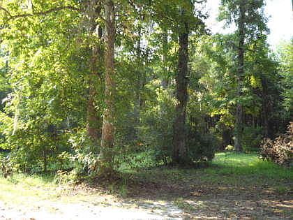 2nd image of 0 N Highway 52