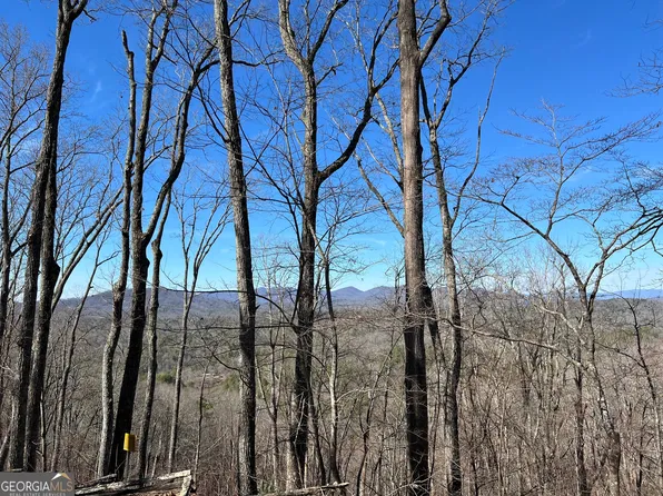 32 Raven Ridge Cir, Mineral Bluff, GA 30559