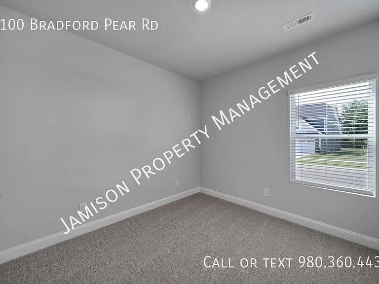1100 Bradford Pear Rd — Photo 8