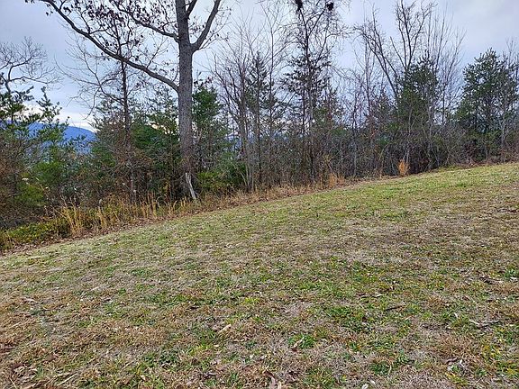 2nd image of 275 Bob White Dr