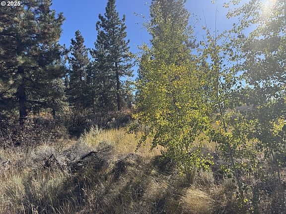 2nd image of Irving Way #51