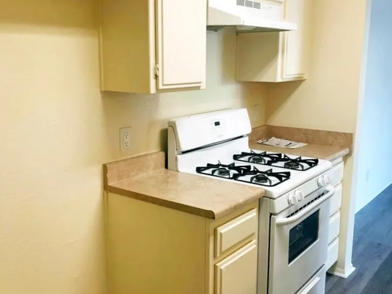Palm Terrace — Photo 15