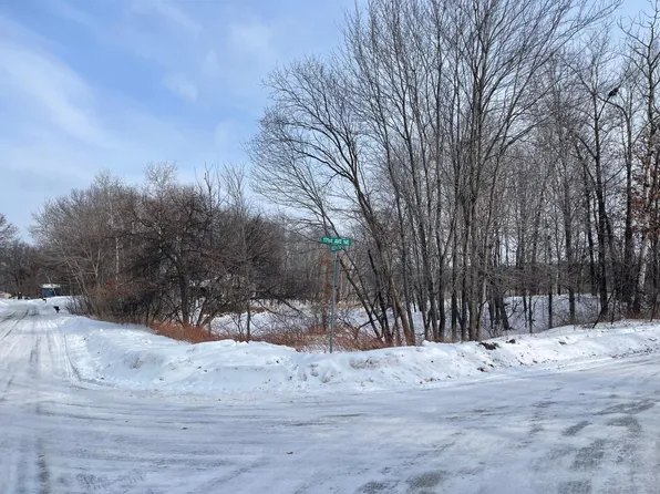 171st Eveleth St, Andover, MN 55304