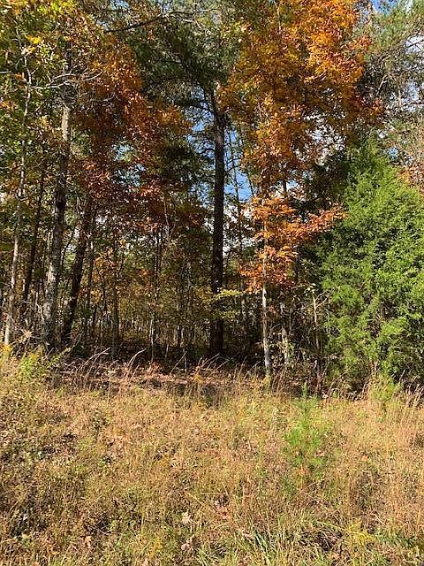 2nd image of 913 Cahita Ln Lot 568