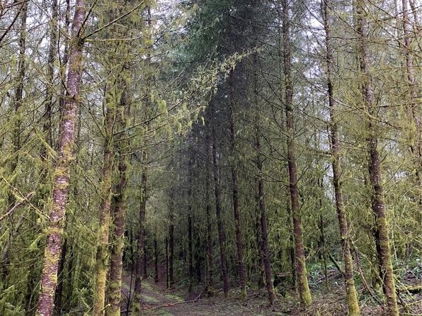 0 Fallert Road, Kalama, WA 98625