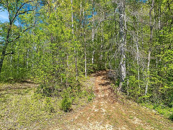 4th image of Board Valley Rd