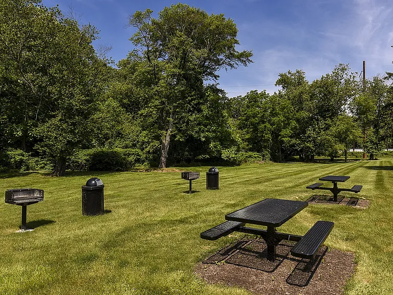Picnic area with grills