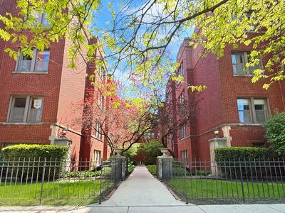 1325 W Addison St APT 1A, Chicago, IL, 60613