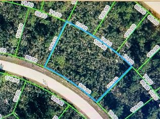 1171 Lake Hill Dr, Lake Placid, FL 33852