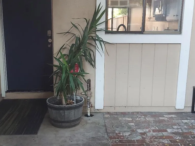 528 Felix Way — Photo 8