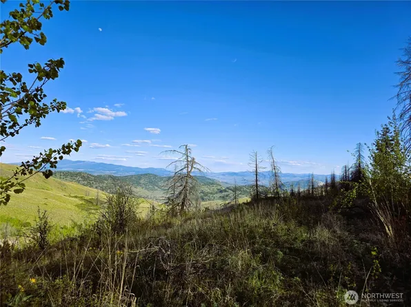 1111 Bottom Road, Tonasket, WA 98855