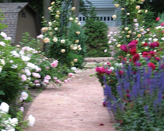 Front sidewalk & arch