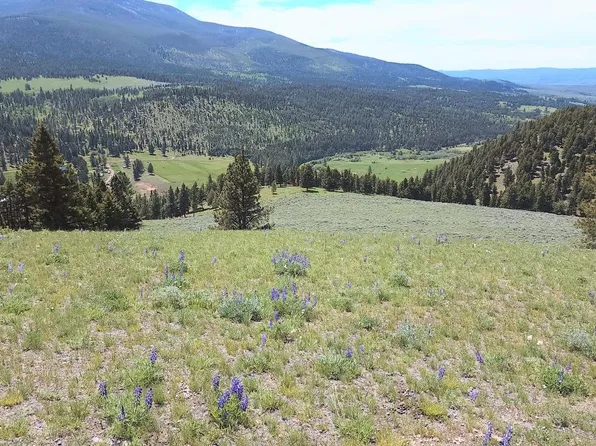 15 Nevada Creek Ranch Rd, Helmville, MT 59843