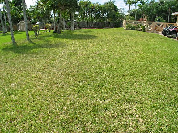 Big Backyard